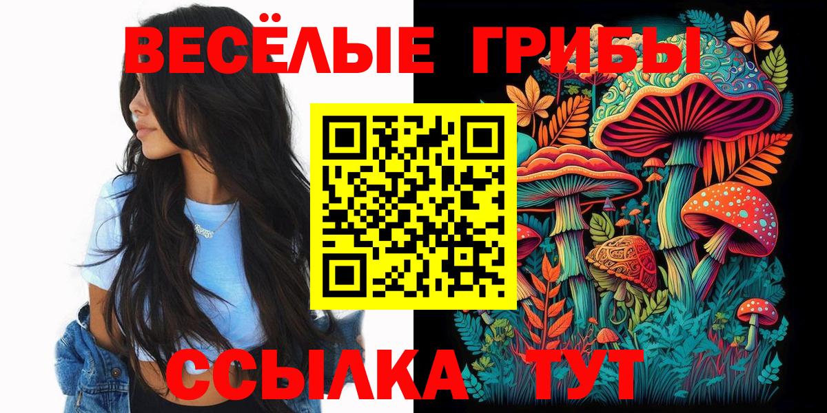 Галлюциногенные грибы Magic Shrooms Ижевск
